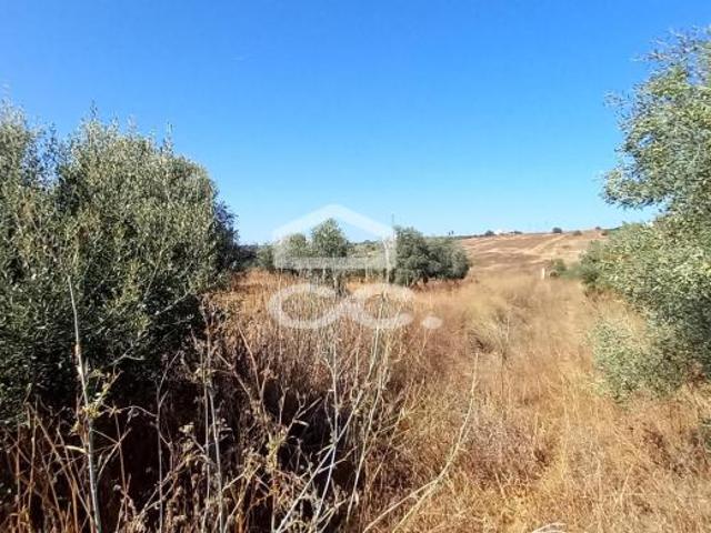 Terrenos Beja Beja DLS94602829