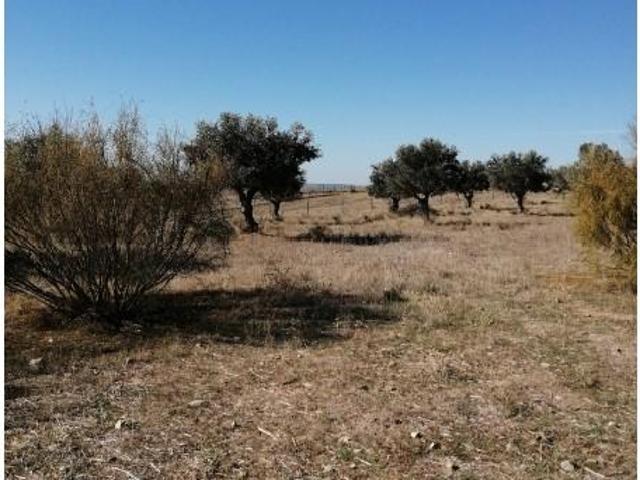 Terrenos Beja Beja DLS95905190
