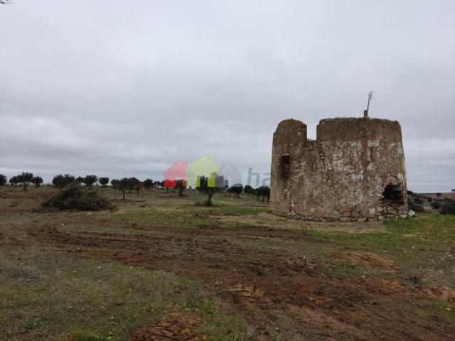 Terrenos Beja Beja DLS96292613