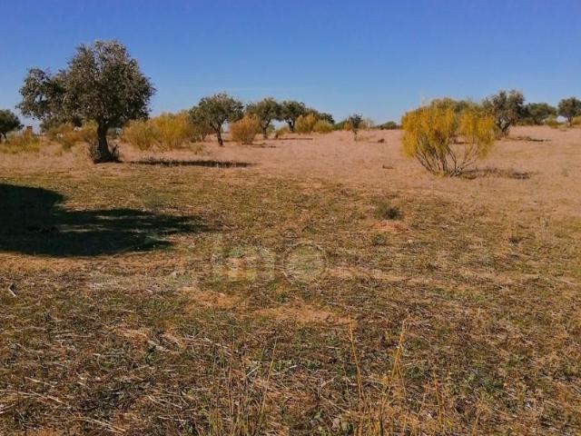 Terrenos Beja Beja DS95905188