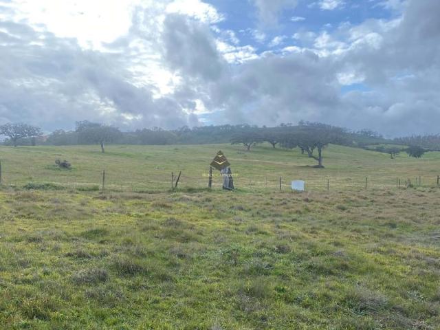 Terrenos Beja Beja DS101398710