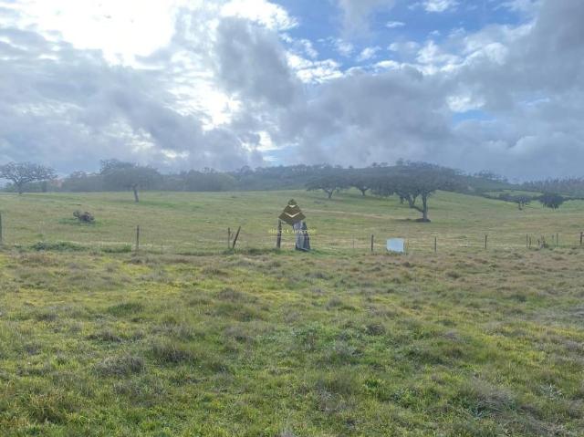 Terrenos Beja Beja DS101398711