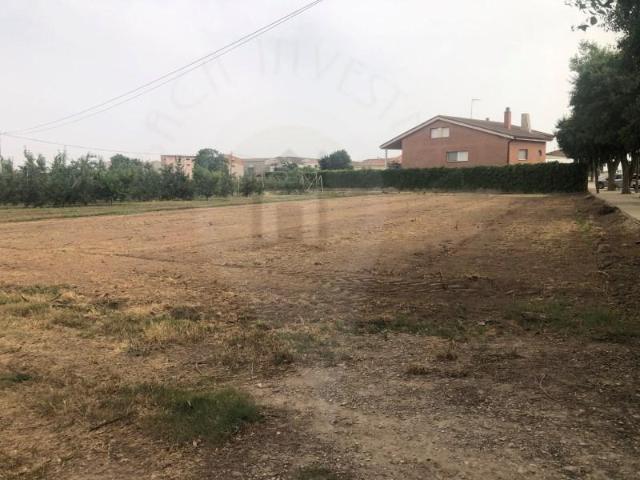 Terrenos Bellpuig Bellpuig 102577802