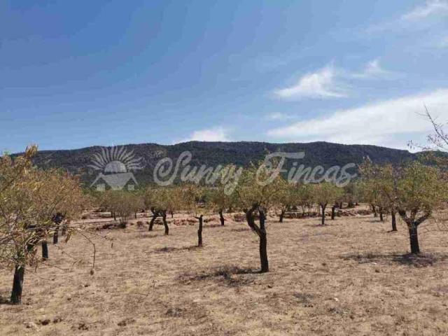 Terrenos Biar Alicante LS96288289