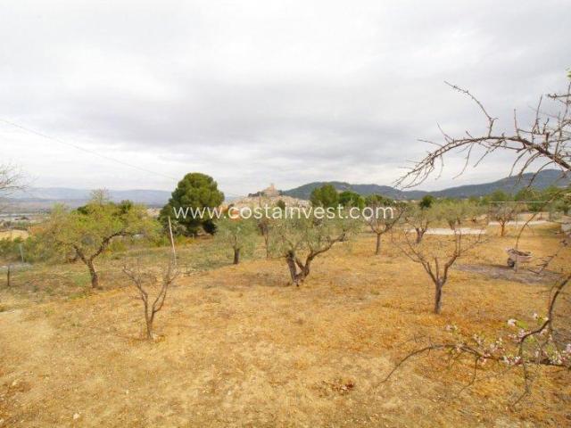 Terrenos Biar Costa Blanca 83122642