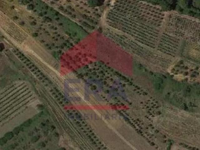 Terrenos Bombarral Bombarral DS89405733