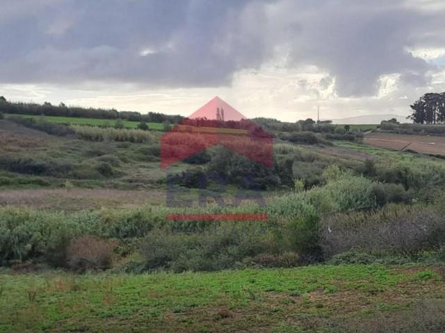 Terrenos Bombarral Bombarral DS96062462