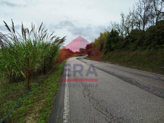 Terrenos Bombarral Bombarral DS96234535
