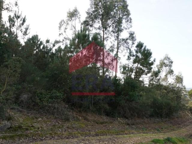 Terrenos Bombarral Bombarral DS97087817