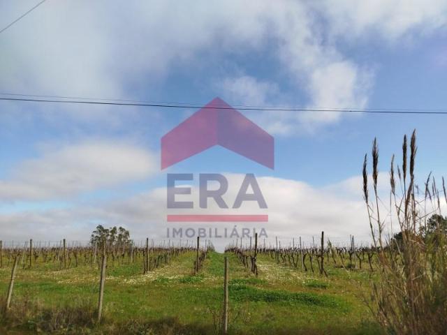 Terrenos Bombarral Bombarral DS97117683