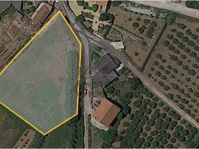 Terrenos Bombarral Bombarral DS97122445