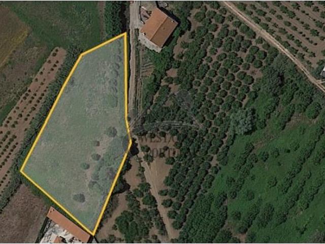 Terrenos Bombarral Bombarral DS97122446