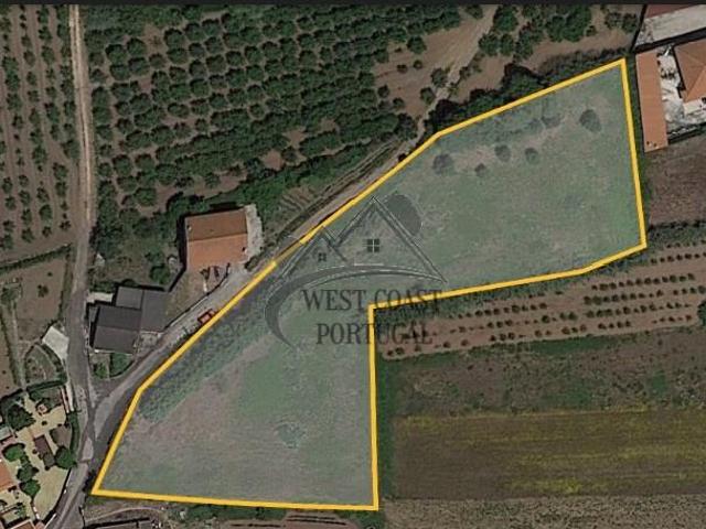 Terrenos Bombarral Bombarral DS97122447