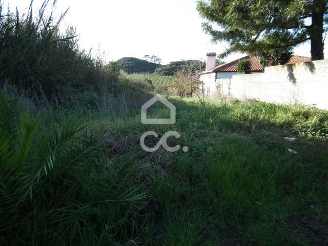 Terrenos Bombarral Leiria DS66630058