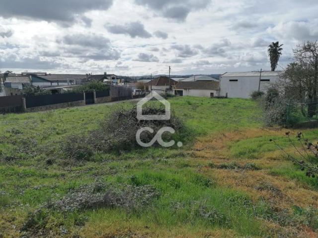 Terrenos Bombarral Leiria DS98319545