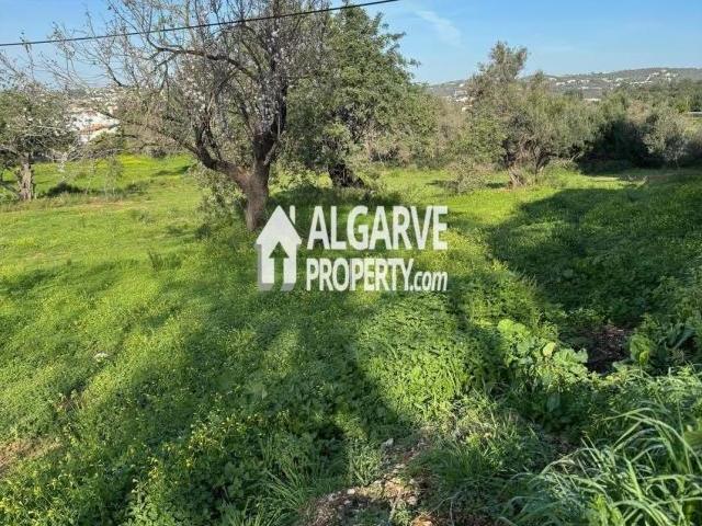 Terrenos Boliqueime Algarve DLS73439514