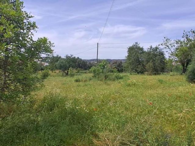 Terrenos Boliqueime Algarve DLS87499701