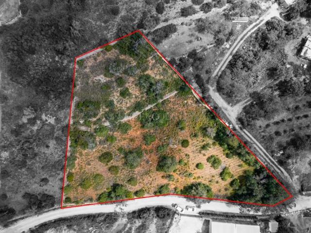 Terrenos Boliqueime Algarve DLS88036123