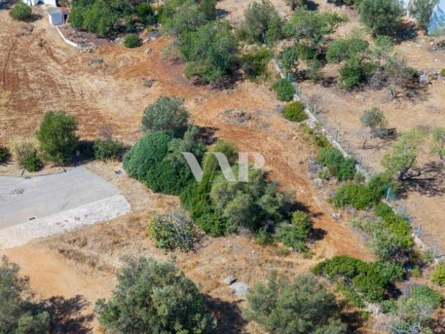 Terrenos Boliqueime Algarve DLS95149843
