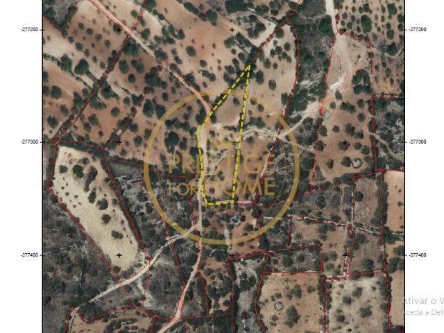 Terrenos Boliqueime Algarve DLS98675968