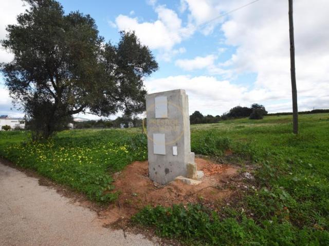 Terrenos Boliqueime Algarve DS93362057