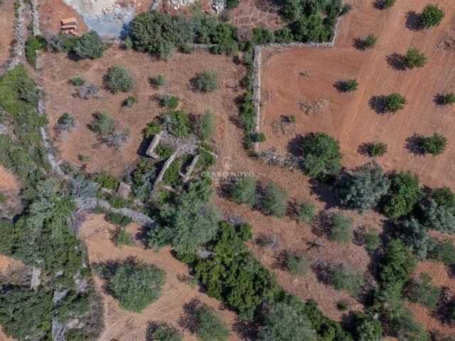 Terrenos Boliqueime Algarve DS99708846