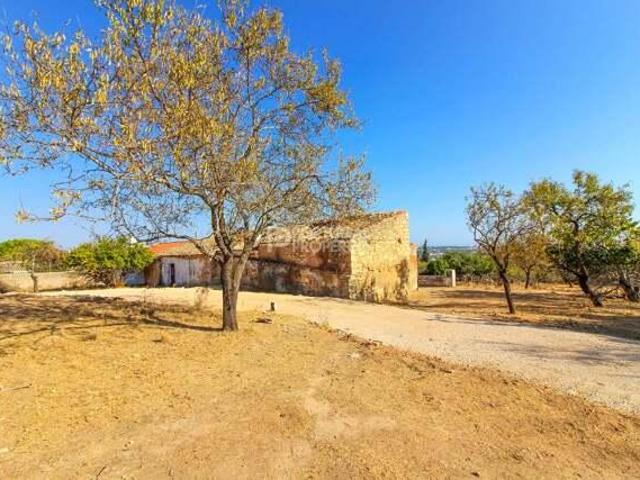 Terrenos Boliqueime Faro DLS97210304