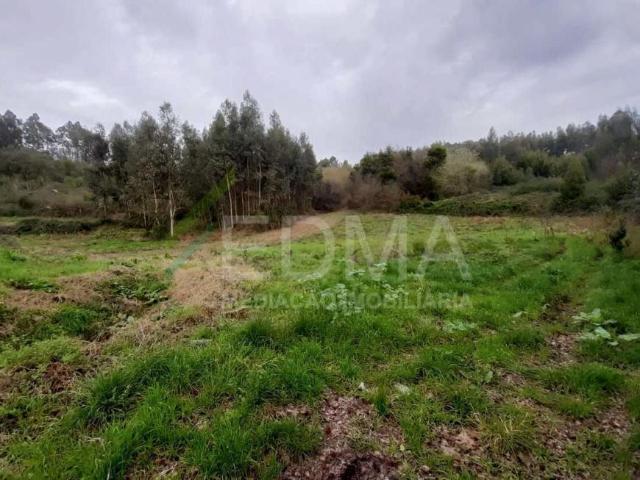 Terrenos Braga Vila Nova de Famalicão 4770 DLS98882972