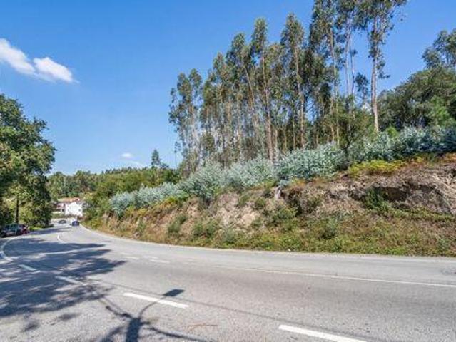 Terrenos Braga Braga DLS94608614