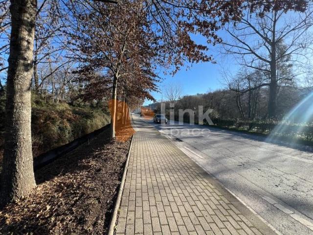 Terrenos Braga Braga DLS94949452