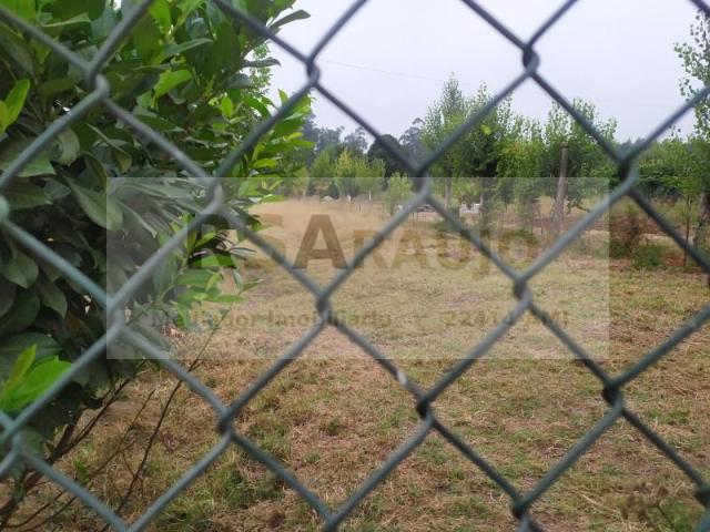 Terrenos Braga Braga DLS97119284