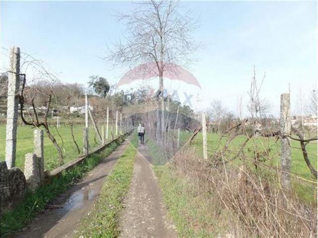 Terrenos Braga Braga DS100020087