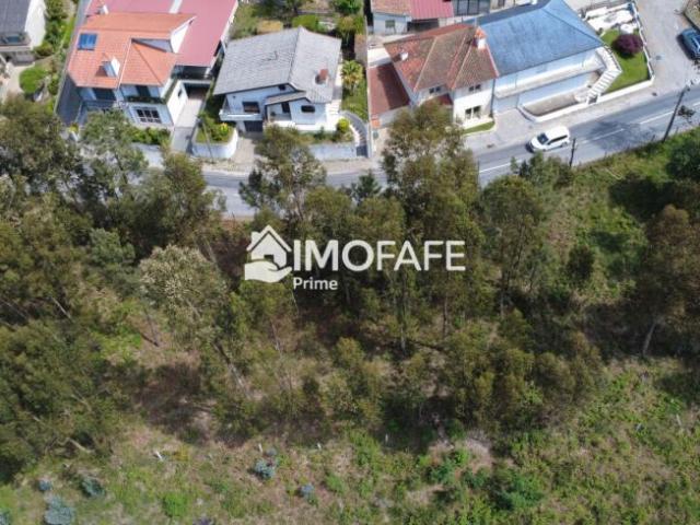 Terrenos Braga Fafe 4820 DS101910895