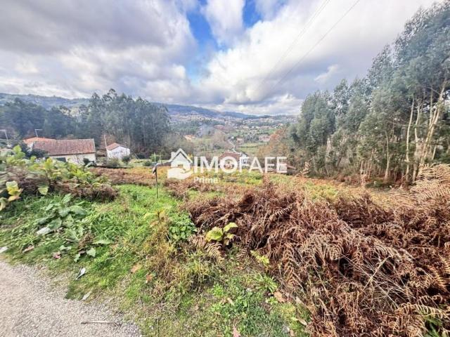 Terrenos Braga Fafe 4820 DS102018512