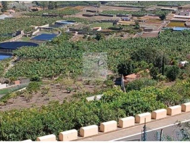 Terrenos Buenavista Del Norte Buenavista Del Norte 88727923