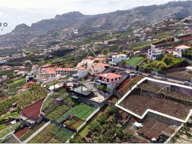 Terrenos Câmara de Lobos Câmara de Lobos DS89739252
