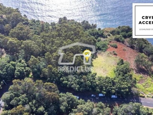 Terrenos Câmara de Lobos Ilha da Madeira DS86681401