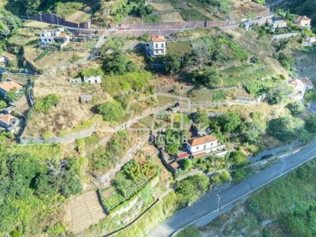 Terrenos Câmara de Lobos Ilha da Madeira DS86681105