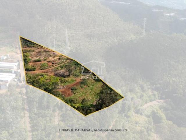 Terrenos Câmara de Lobos Ilha da Madeira DS95654587