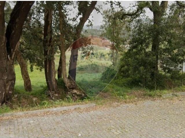 Terrenos Caminha Caminha DLS102784026