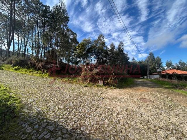 Terrenos Caminha Caminha DLS88330181