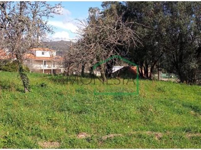 Terrenos Caminha Caminha DS88468179