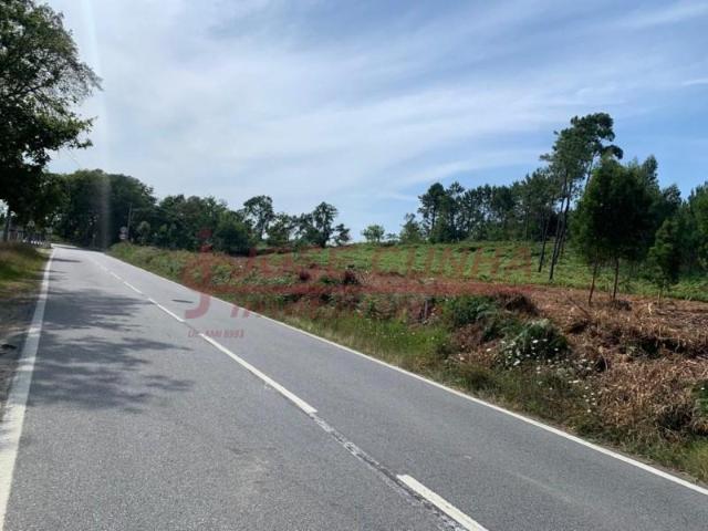 Terrenos Caminha Caminha DS97124377