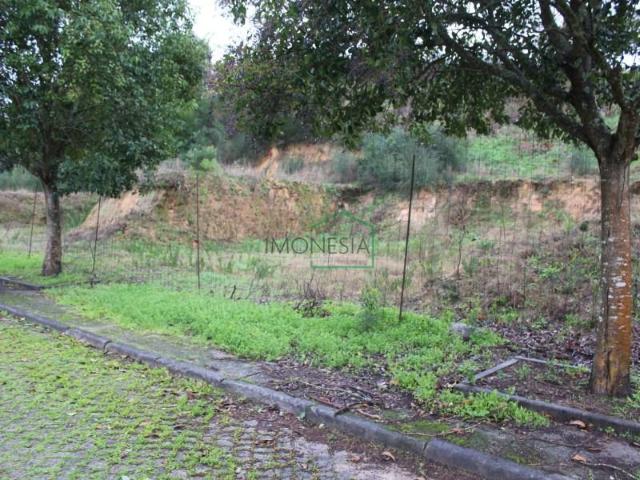 Terrenos Caminha Caminha DS99297199