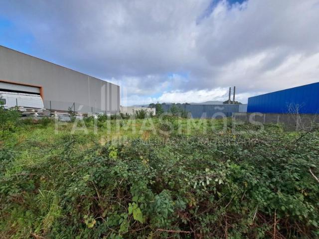 Terrenos Caminha Caminha DS99515019