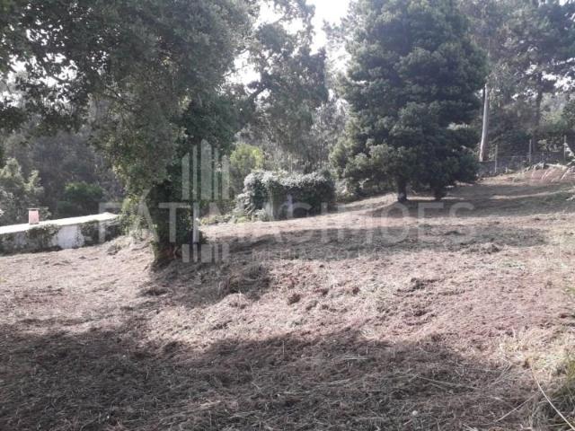 Terrenos Caminha Caminha DS99526810