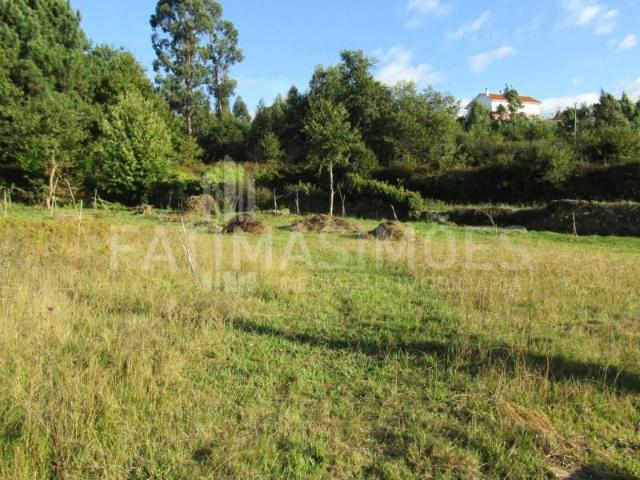 Terrenos Caminha Caminha DS99527982