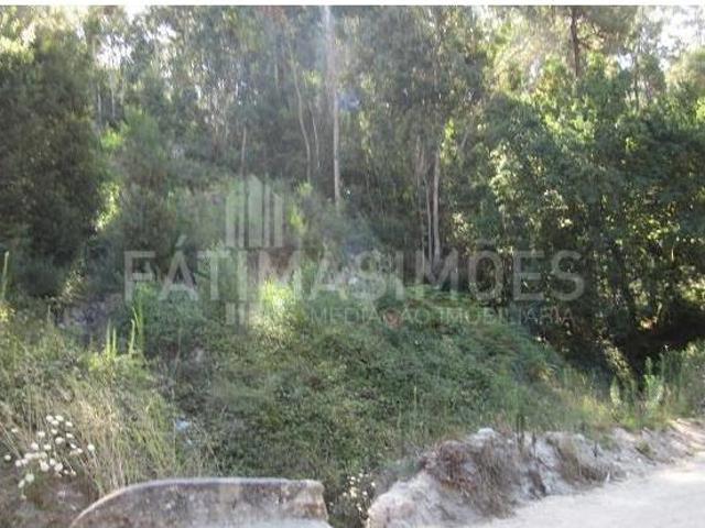 Terrenos Caminha Caminha DS99527987
