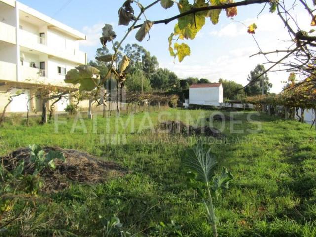 Terrenos Caminha Caminha DS99527993