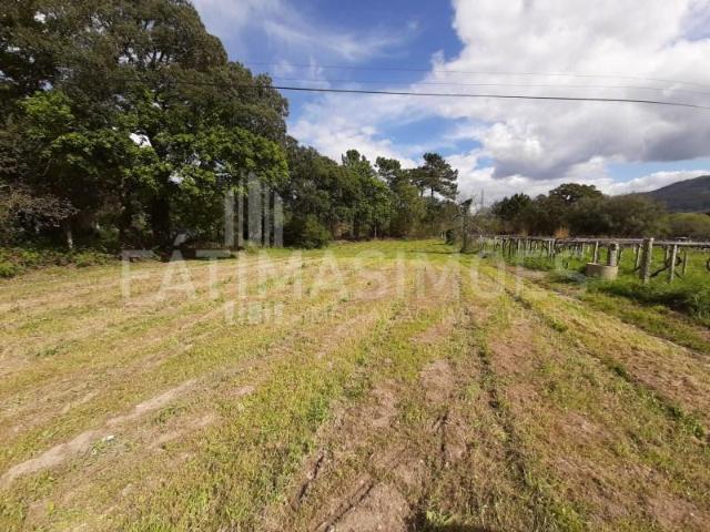 Terrenos Caminha Caminha DS101177242